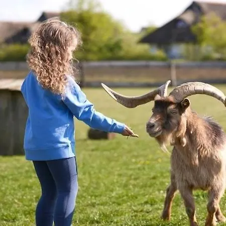 Im Der Valk Linstow 度假居 林斯托