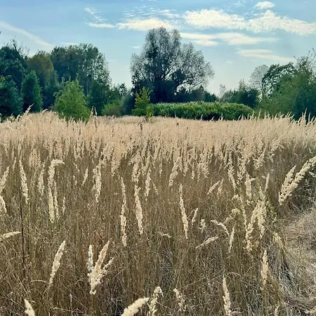 度假居 Im Der Valk Linstow 林斯托